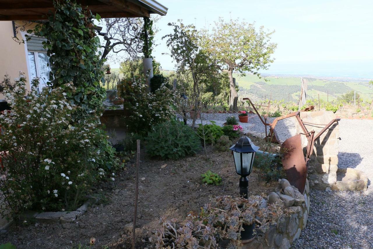B&B Il Vigneto トレビザッチェ エクステリア 写真